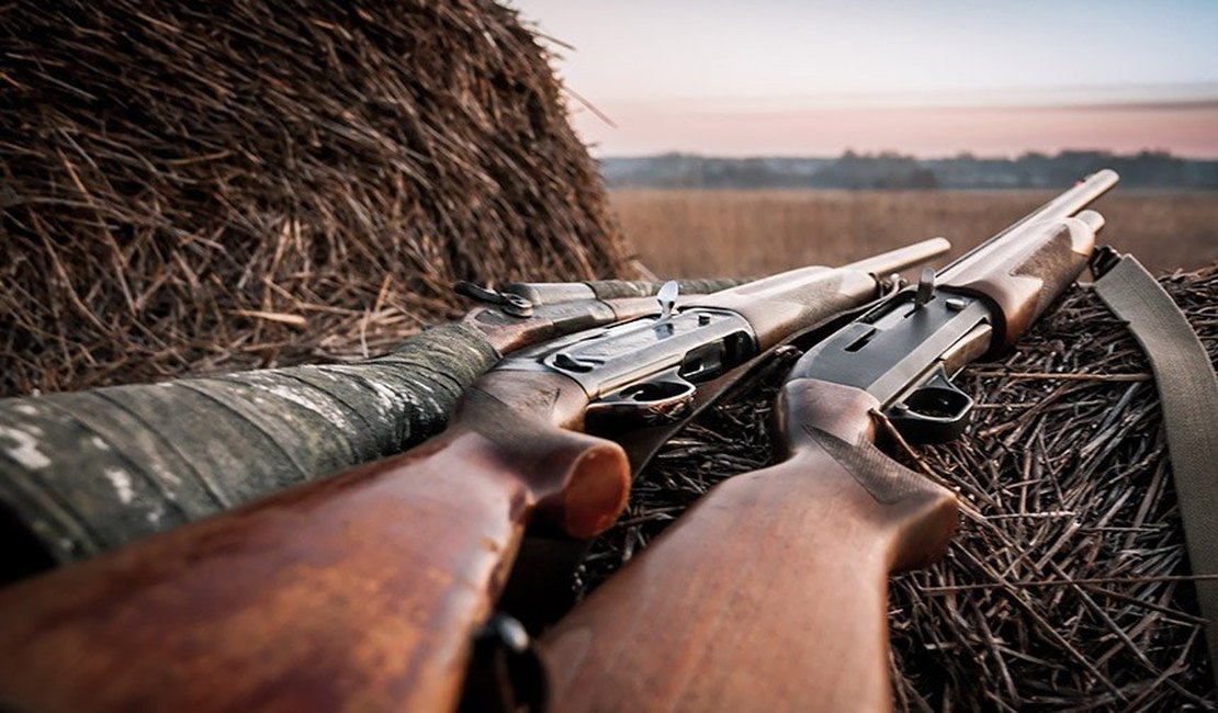 Número de armas registradas por caçadores, colecionadores e atiradores aumenta 80%