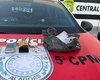 Após denúncias, a ﻿﻿Polícia Militar apreende drogas em Maceió e Marechal Deodoro
