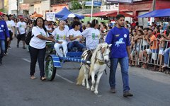 Complexo Tarcizo Freire participa do desfila cívico em comemoração aos 95 anos de Arapiraca