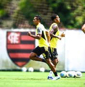 Veja o que está em jogo para o Flamengo na reta final do Brasileirão