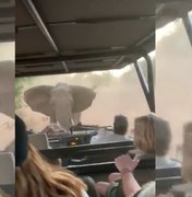 Elefante persegue turistas durante safári na África; veja o vídeo