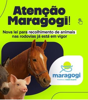 Nova Lei para recolhimento de animais nas rodovias entra em vigor em Maragogi
