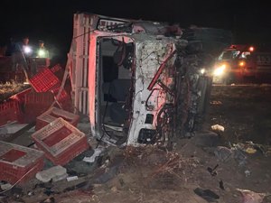 Três cavalos morrem após grave acidente na AL-130, em Santana do Ipanema