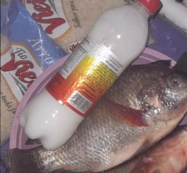 Prefeitos são denunciados pela baixa qualidade do pescado distribuído na Semana Santa