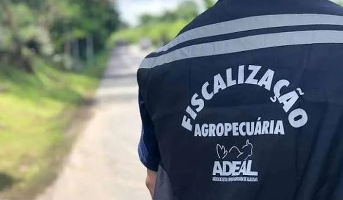 Edital do concurso da Adeal é divulgado com 44 vagas e salários de até R$ 7,3 mil