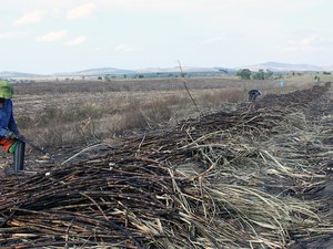 Mais de 2.600 acidentes de trabalho são registrados em AL