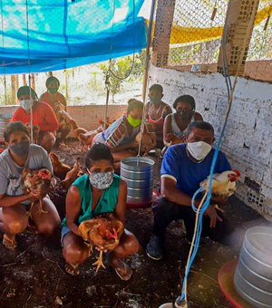 Emater quintuplica o número de famílias de avicultores atendidas em União dos Palmares
