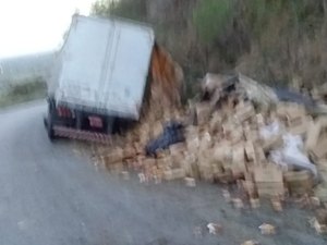Caminhão tem falha nos freios e tomba na AL-115, em Palmeira dos Índios