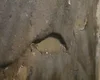 [Vídeo] Moradores denunciam abandono e riscos em rua do bairro Cavaco, em Arapiraca