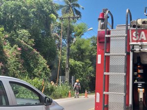 Fios de poste pegam fogo e assustam motoristas na AL-101 Norte 