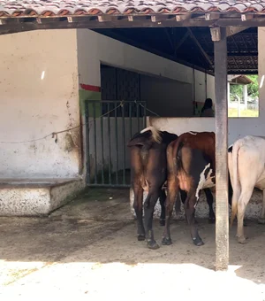 Adeal certifica primeiro estabelecimento com Criação Livre de Brucelose de Alagoas