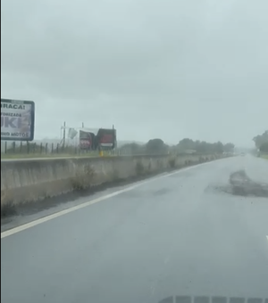 [Vídeo] Grande número de buracos entre Campo Alegre e Arapiraca prejudica tráfego de veículos na AL-220