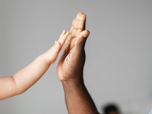 Número de adoções cai 68% no Estado este ano em relação a 2019