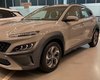 Hyundai Cycosa lança primeiro SUV Híbrido da marca nesta quinta (5)