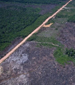 Alertas de desmatamento caem 35% na Amazônia e 6% no Cerrado