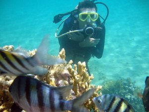 ICMBio lança edital de credenciamento para operadores na APA Costa dos Corais
