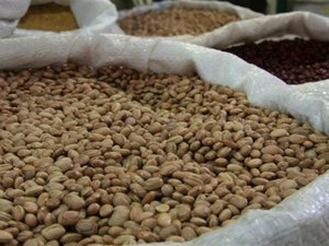 Bandidos invadem fazenda e roubam 60 toneladas de feijão