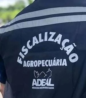 Adeal abre concurso com 20 vagas imediatas e salário de R$ 7 mil em Alagoas