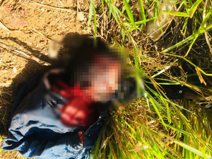 Homem é achado morto às margens da BR-101