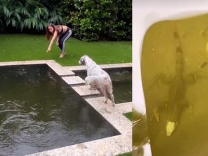 Anitta fica assustada ao encontrar iguana na piscina da casa de Miami