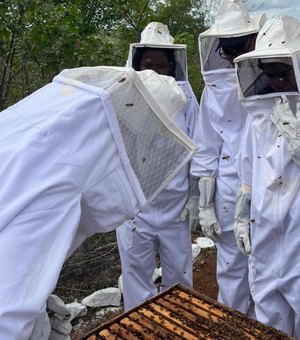 Centro Xingó conclui capacitação técnica em apicultura para alunos do Ifal em Piranhas