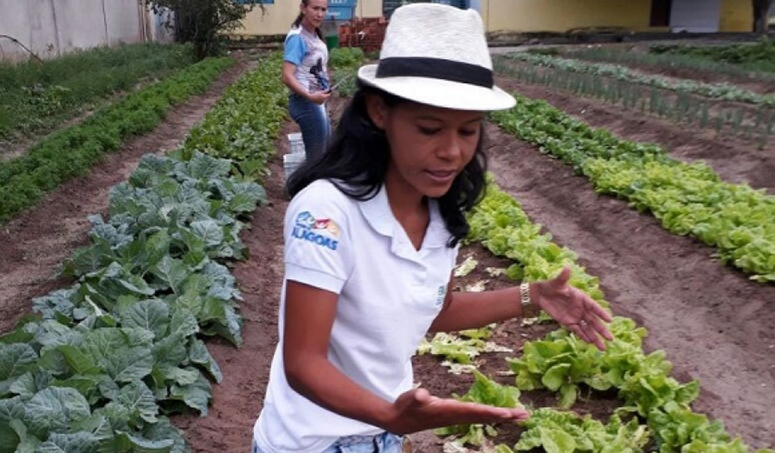 Projeto de hortas de ex-aluna da Uneal faz sucesso em São José da Tapera