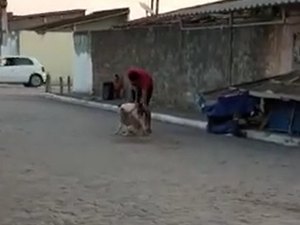 [Vídeo] Pitbull ataca vira-lata em Arapiraca e dono avisa quem tenta separar: 'ele vai pegar você'
