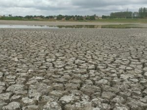 Chuvas de janeiro não serão suficientes para diminuir estiagem em AL, afirma meteorologista