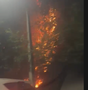 Incêndio em vegetação mobiliza Corpo de Bombeiros na Avenida Governador Afrânio Lages, em Maceió