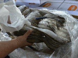 Prefeitura de Palmeira dos Índios organiza grande ação para distribuição de peixes