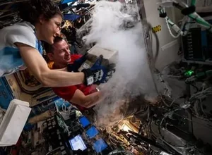 Por que astronautas estão imprimindo órgãos no espaço