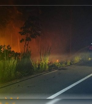 Incêndio atinge área perto de resort de luxo em Maragogi
