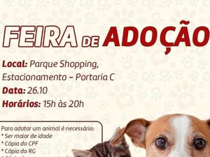 Grupo Pata Amada realiza feira de adoção neste sábado (26)