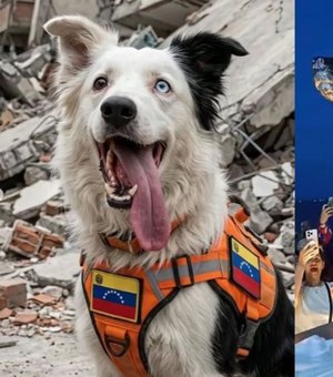 Cão que resgatou vítimas de terremoto na Venezuela ganha estátua