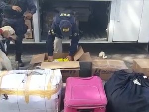 [Vídeo] Mulher é presa com mais de 200 kg de maconha em ônibus clandestino em São Sebastião