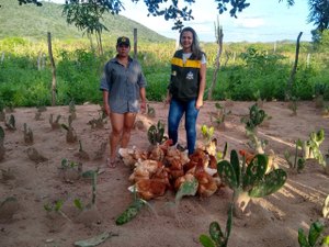 Dia da avicultura: Emater atende 2 mil famílias que vivem da criação de aves em AL