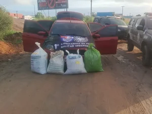 Dupla é presa transportando 35kg de maconha em São Miguel dos Campos