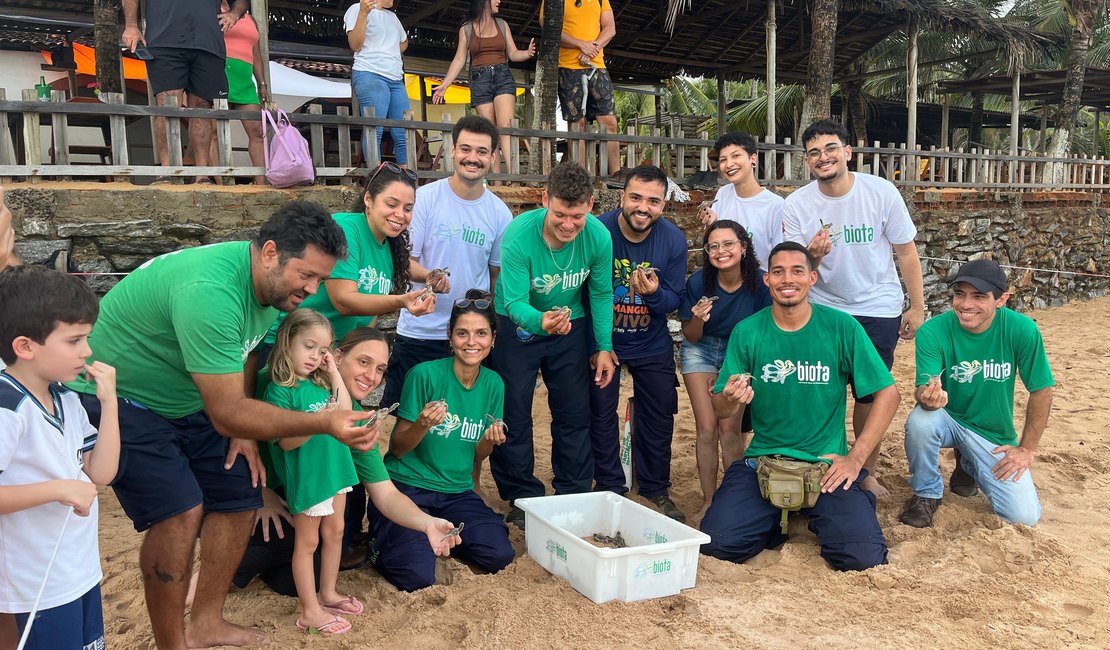 Nascimento raro de 90 tartarugas-verdes é registrado no litoral de Alagoas