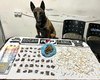Traficante é preso no Alto do Cruzeiro com a ajuda de cão farejador