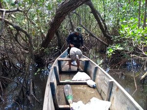 BPA apreende mais 350 caranguejos-uçá em Coqueiro Seco