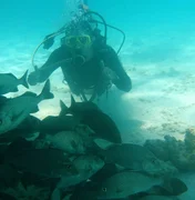 Fundo do mar vira fonte de renda para mergulhadores em Maragogi