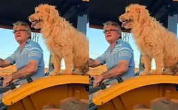 Que grude! Amizade entre cachorro 'carrapato' e tutor conquista a web