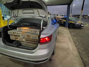 [Vídeo] PF apreende 550 pássaros silvestres que estavam na mala de um carro na BR 101