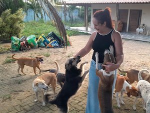 [Vídeo] Casal que cuida de animais abandonados em Arapiraca precisa de novo local para abrigá-los