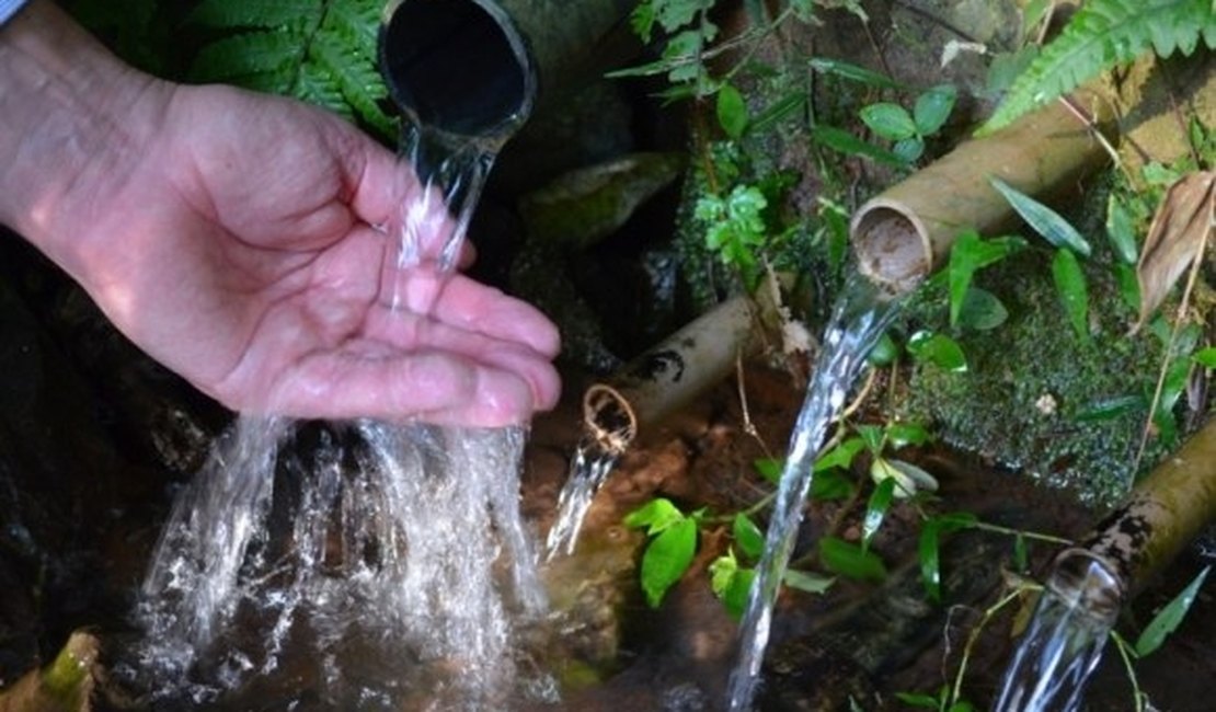 55 nascentes são recuperadas no Alto Sertão de Alagoas