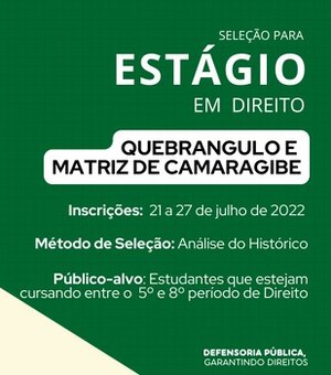 Quebrangulo e Matriz de Camaragibe: Defensoria Pública realiza seleção para Estágio em Direito