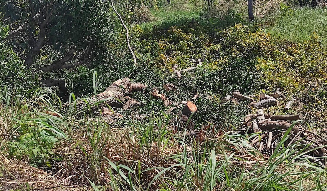 Secretaria de Meio Ambiente de Maragogi multa Equatorial em R$ 100 mil