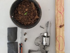 Jovem é detido com revólver e plantação de pé de maconha em Arapiraca