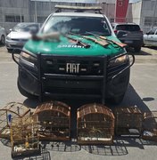 Animais silvestres e armas são apreendidas no Litoral Norte de Alagoas