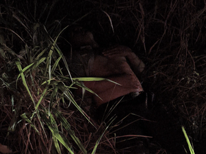 Motociclista fica ferido após ser jogado em canteiro por motorista na AL-220